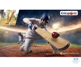 Comprehensive Cricket Stats API for Developers