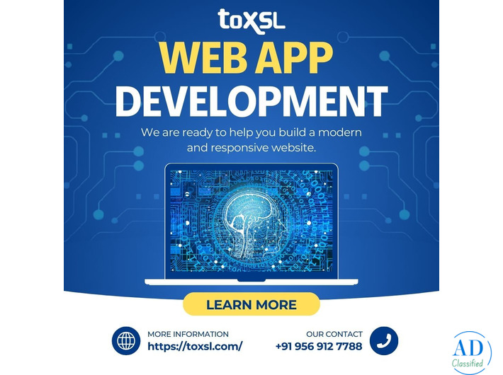 Smart Web Development Company For Fully Customized Business Websites | ToXSL Technologies