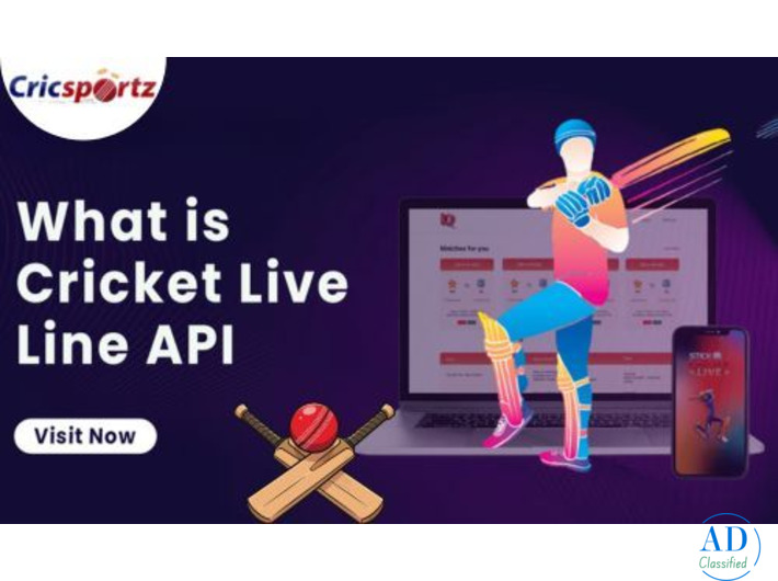 Cricket Data API: Complete Access to Scores, Stats & Match Insights