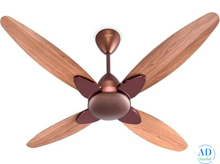 Top Premium Quality Designer Fan by WadBros