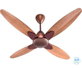 Top Premium Quality Designer Fan by WadBros